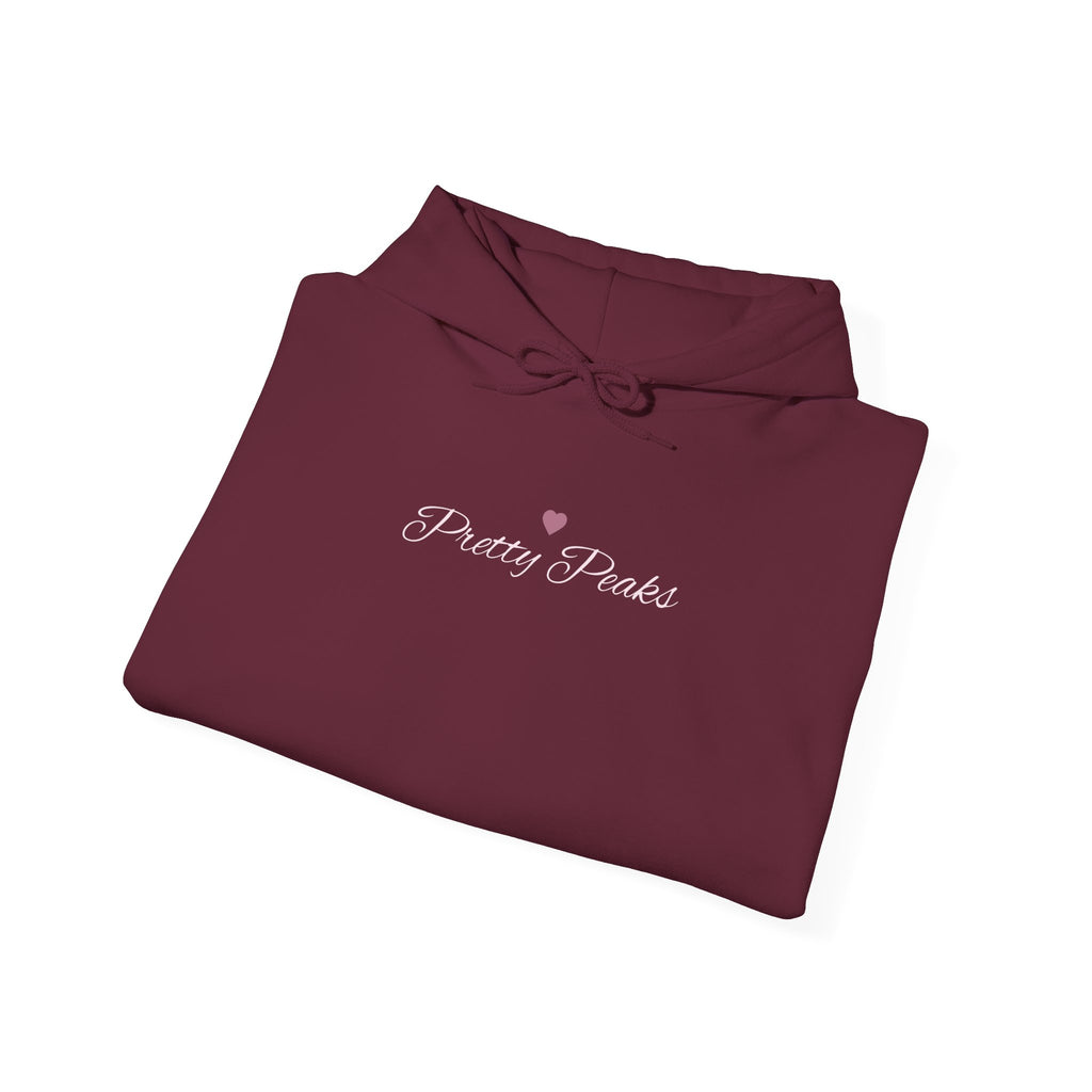 The Privilege of Being Here Hoodie | Pretty Peaks