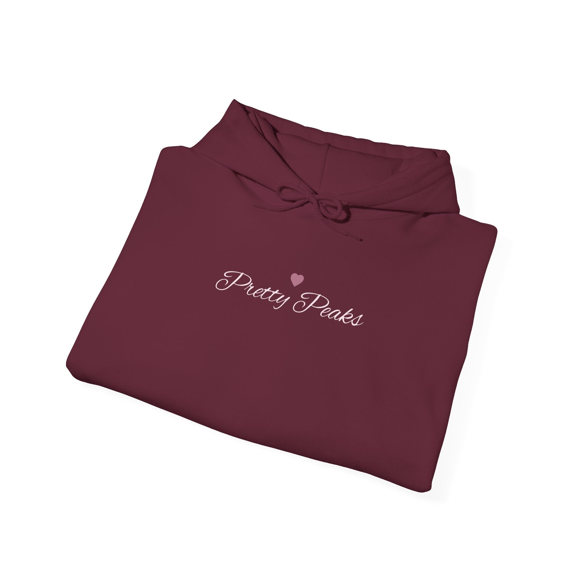 The Privilege of Being Here Hoodie | Pretty Peaks